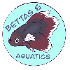 Логотип мода DragN’s Bettas & Aquatics!