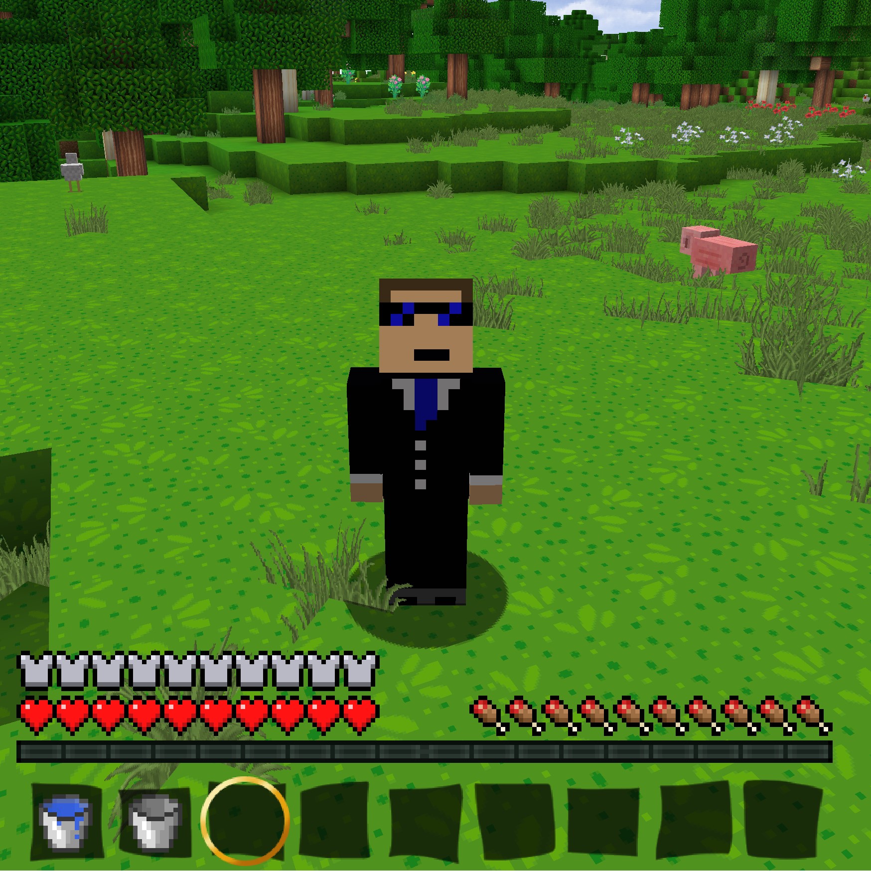 Логотип мода Hidden Armor