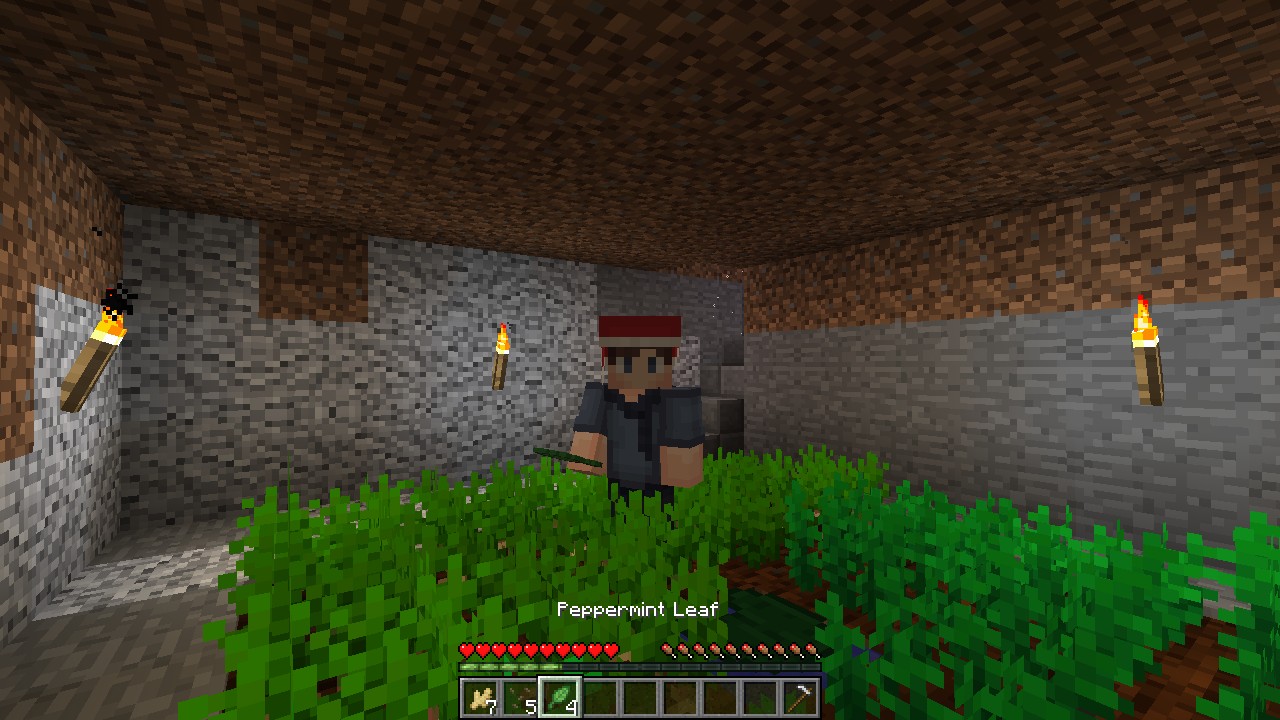 Скриншот мода