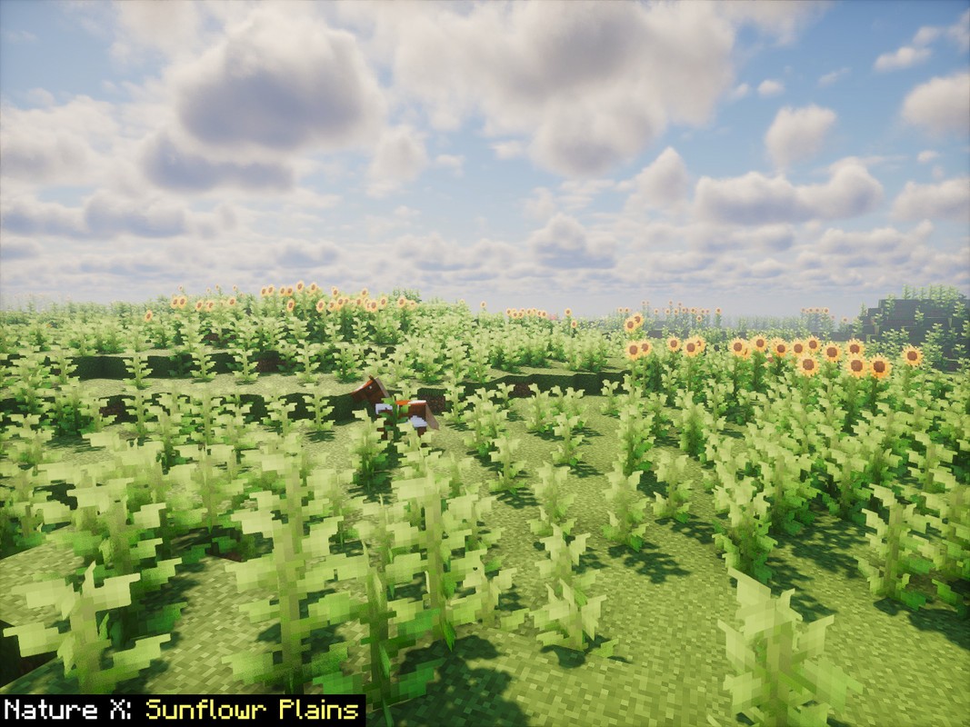 Скриншот мода