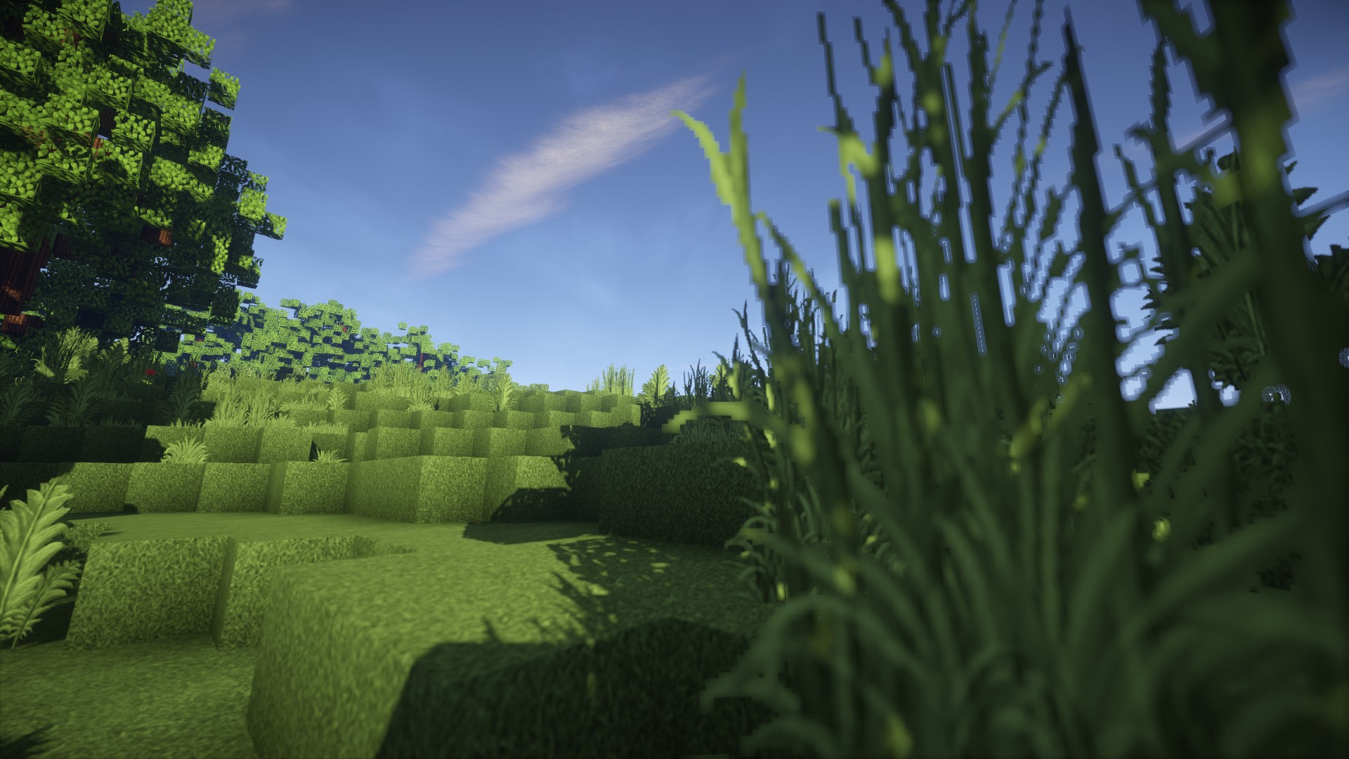 Скриншот мода