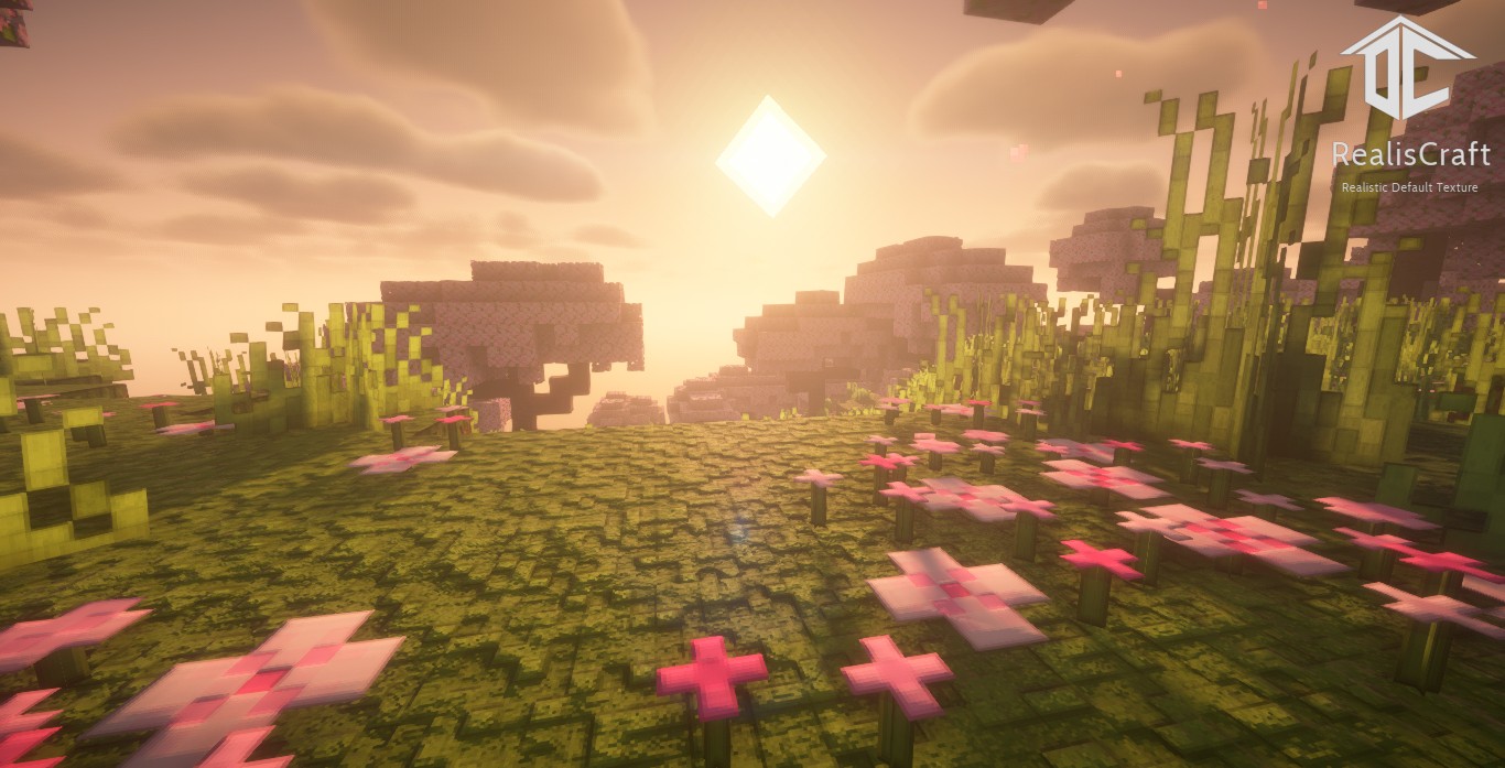 Скриншот мода