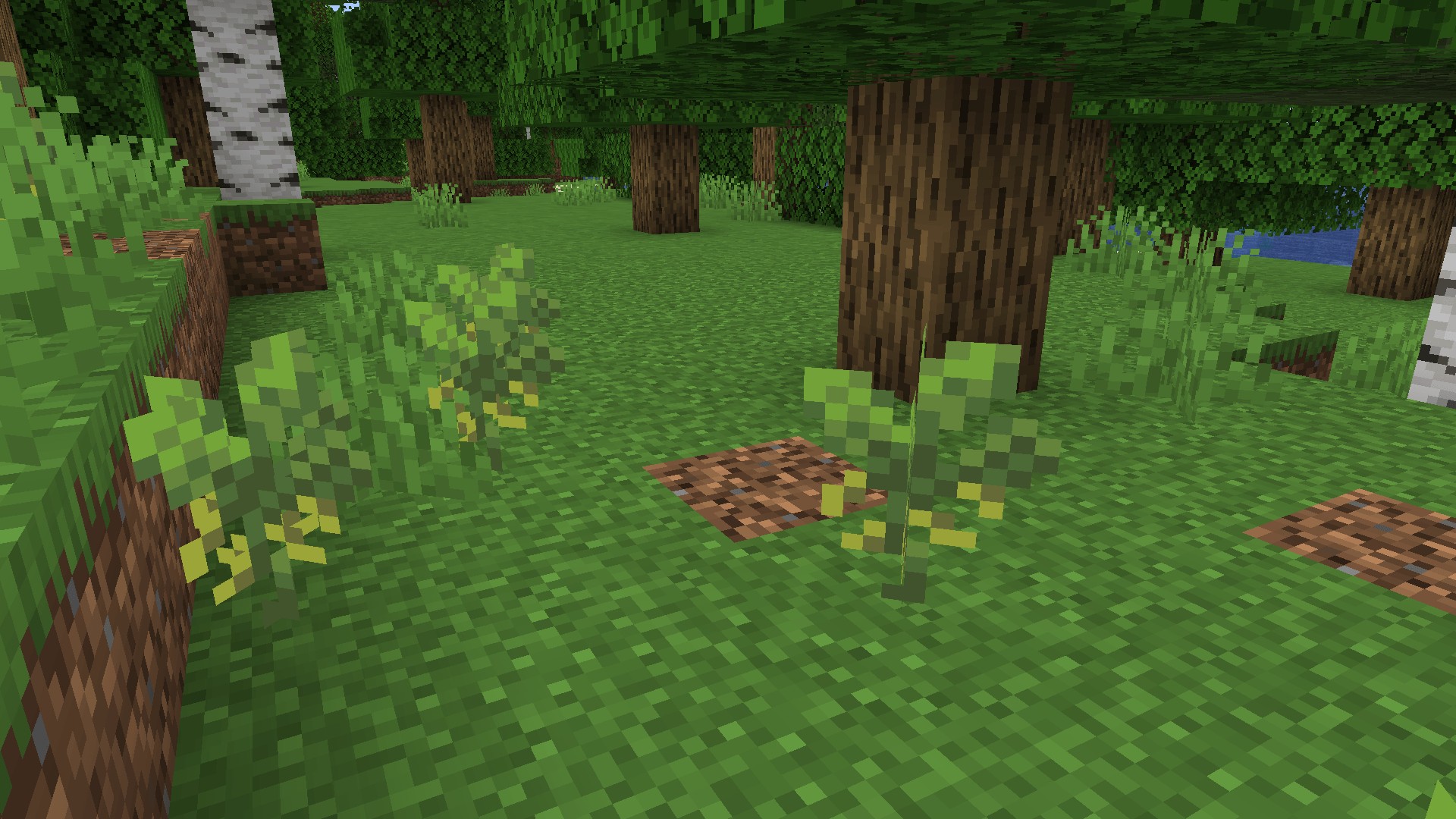 Скриншот мода