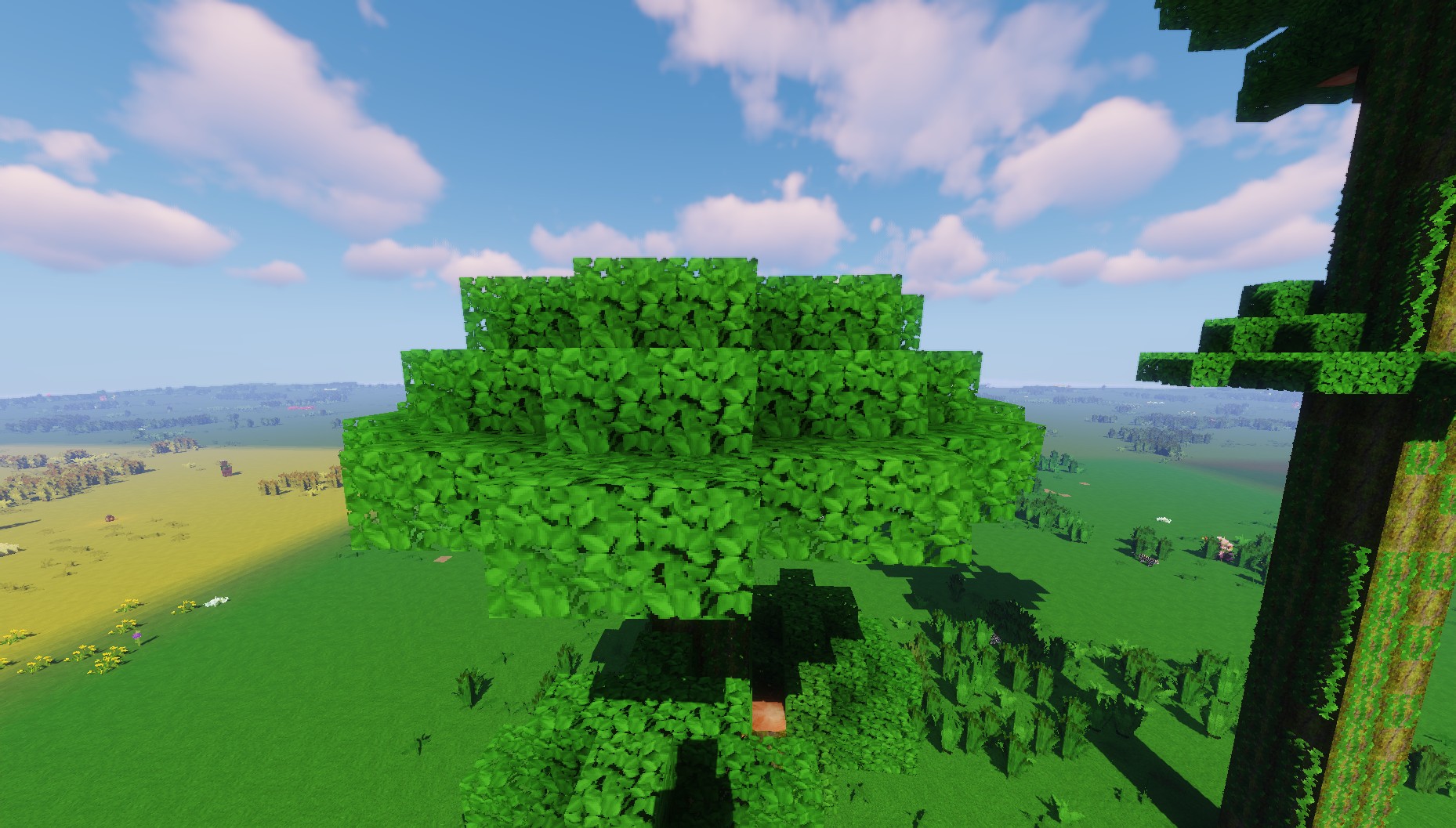 Скриншот мода