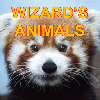 Логотип мода Wizard's Animals