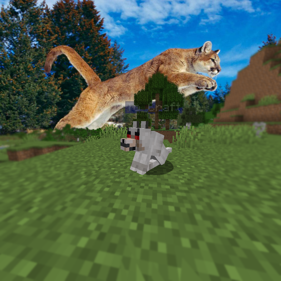 Логотип мода Woodwalkers